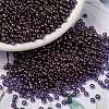 MIYUKI Round Rocailles Beads X-SEED-G008-RR1884-1