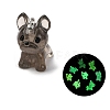 Luminous Transparent Resin Pendants RESI-Z043-02P-3