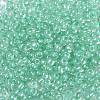 6/0 Glass Seed Beads X-SEED-A015-4mm-2219-2