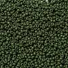 MIYUKI Round Rocailles Beads X-SEED-G008-RR0501-3