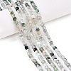 Natural Moss Agate Beads Strands G-T138-211K-1