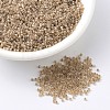 MIYUKI Delica Beads SEED-MY11-DB1731-1
