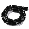 Natural Black Onyx(Dyed & Heated) Beads Strands G-T047-B29-01-3