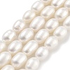 Natural Cultured Freshwater Pearl Beads Strands PEAR-P062-08L-2