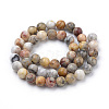 Natural Crazy Lace Agate Beads Strands G-S259-38-10mm-3