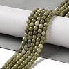 Natural Alashan Agate Beads Strands G-P530-B05-01-1