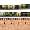 Natural Serpentine Beads Strands G-L624-I16-3x6mm-5