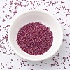 MIYUKI Delica Beads SEED-MY11-DB2275-2
