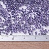 MIYUKI Delica Beads SEED-MY11-DB0250-4