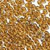 Glass Seed Beads SEED-H002-A-A622-4
