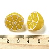 Fruit Opaque Resin Decoden Cabochons RESI-H156-01-03-3