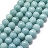 Natural Malaysia Jade Beads Strands G-L645-A01-14mm-25-1