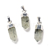 Natural Prehnite Pendants G-G737-08K-S-1