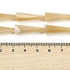 Natural Trochus Shell Beads Strands BSHE-G036-04-4