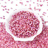 Drawbench Style Glass Seed Beads SEED-Q039-01D-2