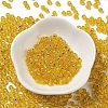Glass Seed Beads SEED-H002-C-A038-2