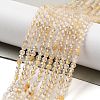 Natural Gold Rutilated Quartz Beads Strands LS-G-G161-A17-05-2