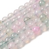 Dyed & Heated Natural Agate Beads Strands G-P539-D01-02-1