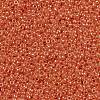 MIYUKI Round Rocailles Beads SEED-JP0010-RR0424-3