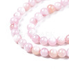 Natural Freshwater Shell Beads Strands BSHE-T009A-01C-3