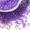 Glass Seed Beads X-SEED-S042-13A-10-1