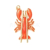 Brass with Enamel Pendants KK-CBA2F11-10G-02-1