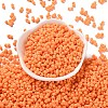 Rubberized Style Glass Seed Beads SEED-Z003-01I-2