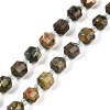 Natural Rhyolite Jasper Beads Strands G-O201B-122F-2