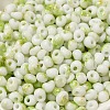 Baking Paint Glass Seed Beads SEED-F006-01A-07-3