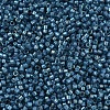 MIYUKI Delica Beads X-SEED-J020-DB2384-3