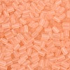 FGB Frosted Transparent Glass Seed Beads SEED-N013-05A-04-3