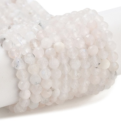 Natural Rainbow Moonstone Beads Strands G-P500-01C-01A-1