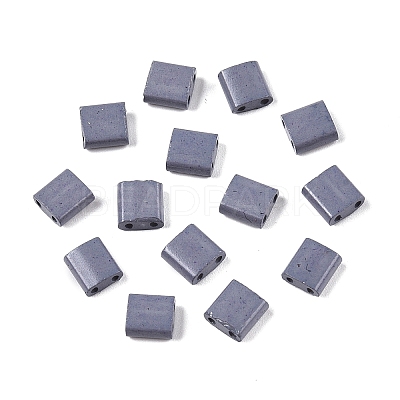 2-Hole Baking Paint Glass Seed Beads SEED-S023-17C-34-1