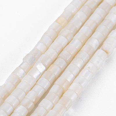 Natural Freshwater Shell Beads Strands X-SHEL-N027-09-1