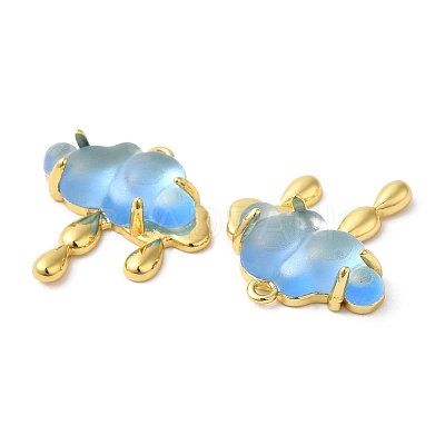 Translucent Resin Pendants KK-C023-04B-1