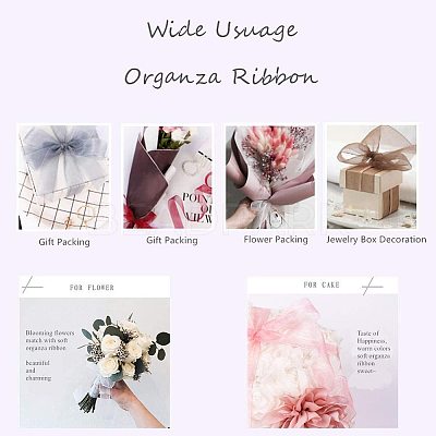 Organza Ribbon ORIB-BC0001-02E-1