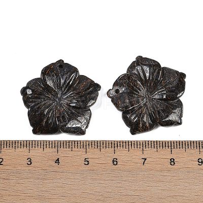 Natural Bronzite Carved Pendants G-B097-01A-12-1