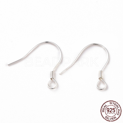 925 Sterling Silver Earring Hooks STER-D035-22S-1