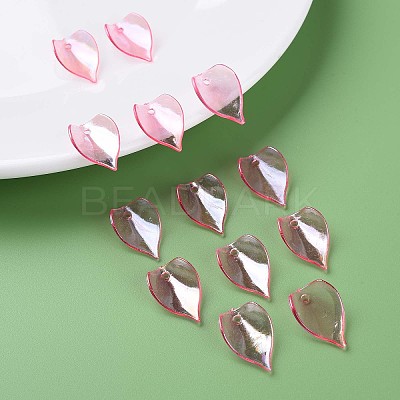 Transparent Acrylic Beads MACR-S373-103-C05-1