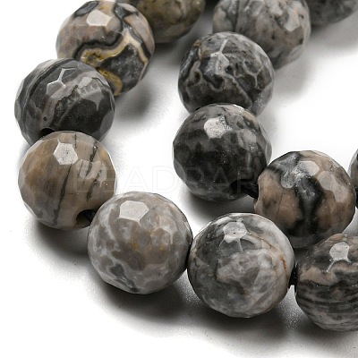 Natural Map Stone/Picasso Stone/Picasso Jasper Beads Strands G-C079-B05-02-1