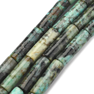 Natural African Turquoise(Jasper) Beads Strands G-F247-29-1