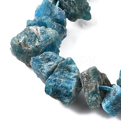 Natural Apatite Beads Strands G-I283-F23-1