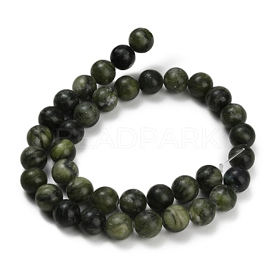 Natural Chinese Jade Southern Jade Beads Strands G-P626-10mm-01A-1