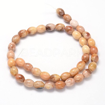 Oval Natural Agate Beads Strands G-P106-08-1