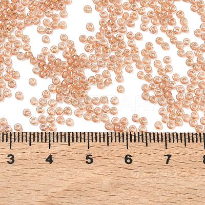 MIYUKI Round Rocailles Beads X-SEED-G007-RR3734-1