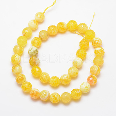 Natural Fire Crackle Agate Bead Strands X-G-K166-07F-10mm-17-1