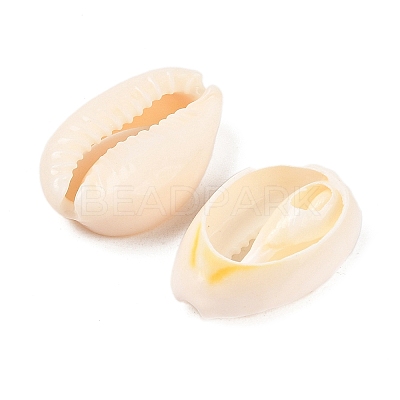 Natural Cowrie Shell Beads BSHE-Q296-1-1