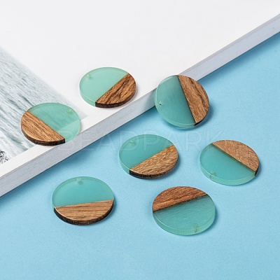 Resin & Wood Pendants X-RESI-S358-02B-03-1
