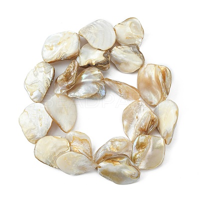Handmade Shell Beads Strands X-PBB471-1-1