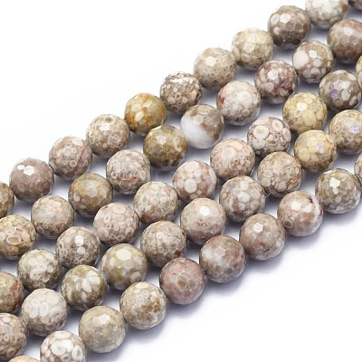 Natural Conch Fossil Beads Strands G-K310-A07-10mm-1